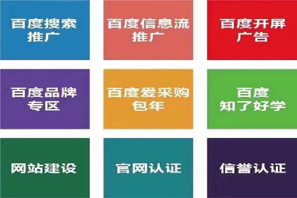 百度推广全攻略：成功案例剖析